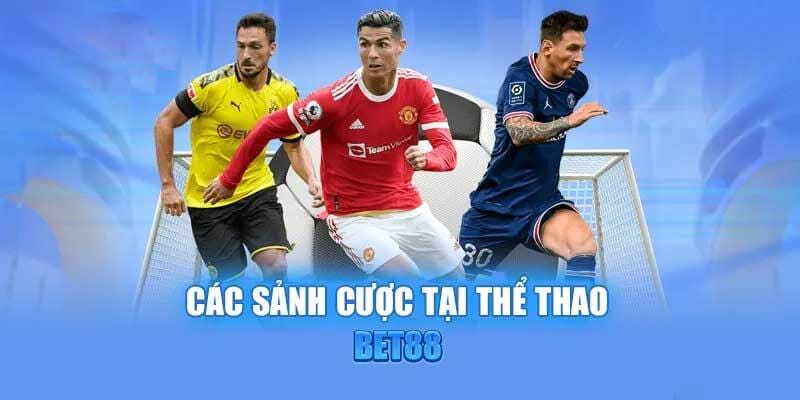 Giới thiệu tổng quát về sảnh thể thao BET88